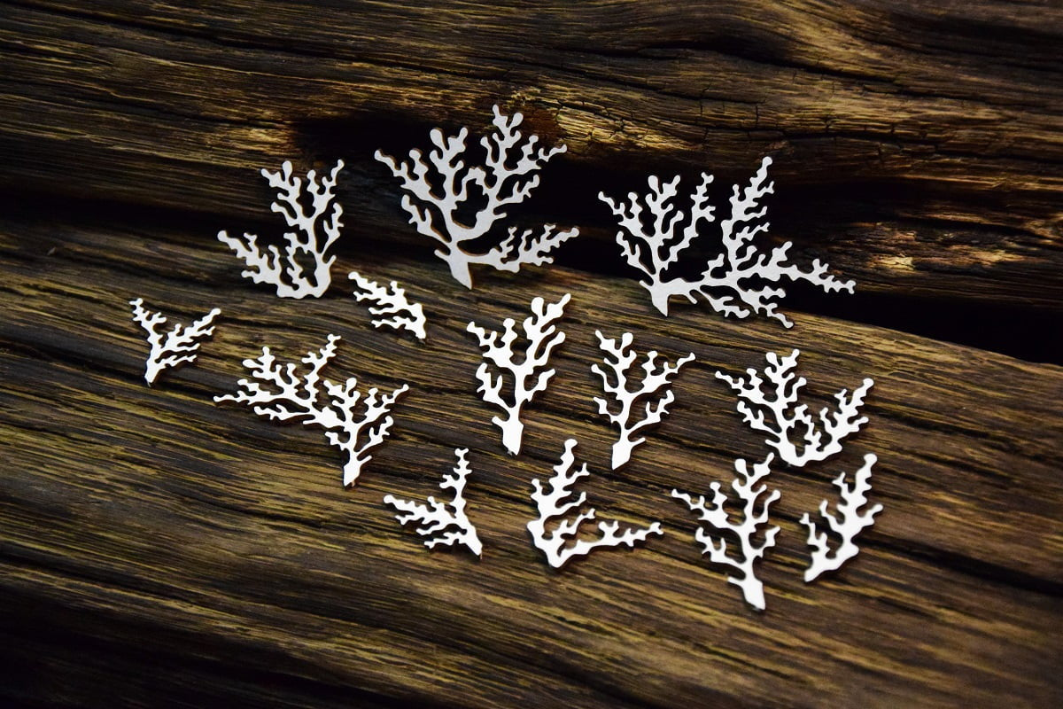 Snipart Tropical Adventure Corals