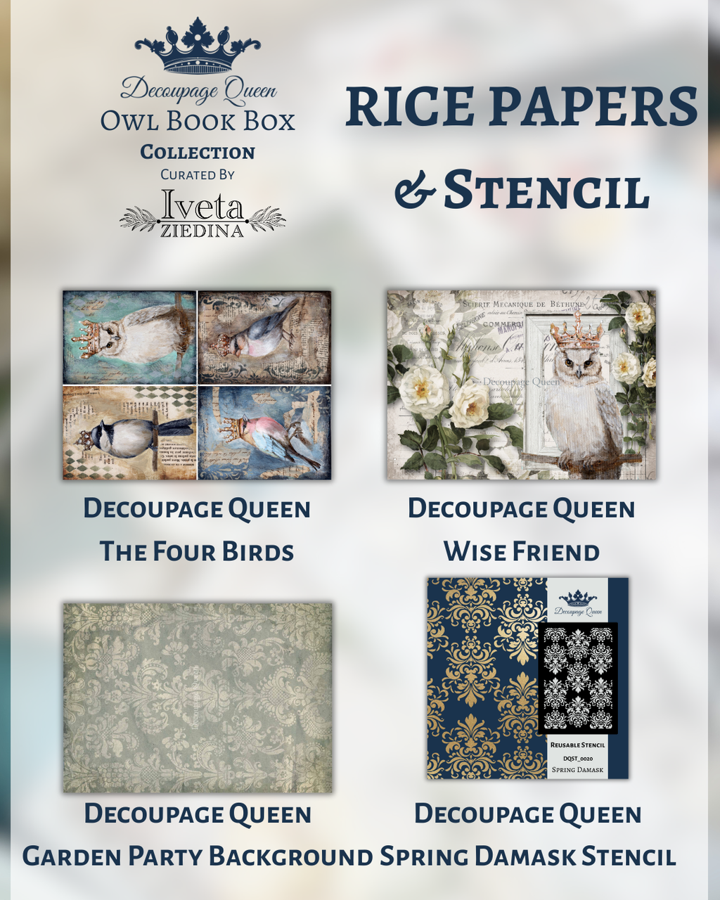 Owl Book Box Collection