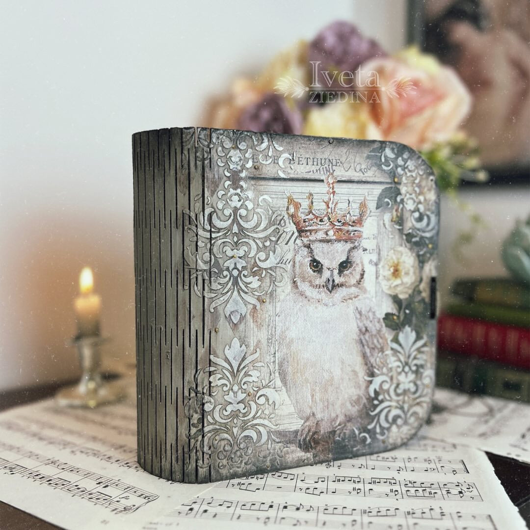 Owl Book Box Collection
