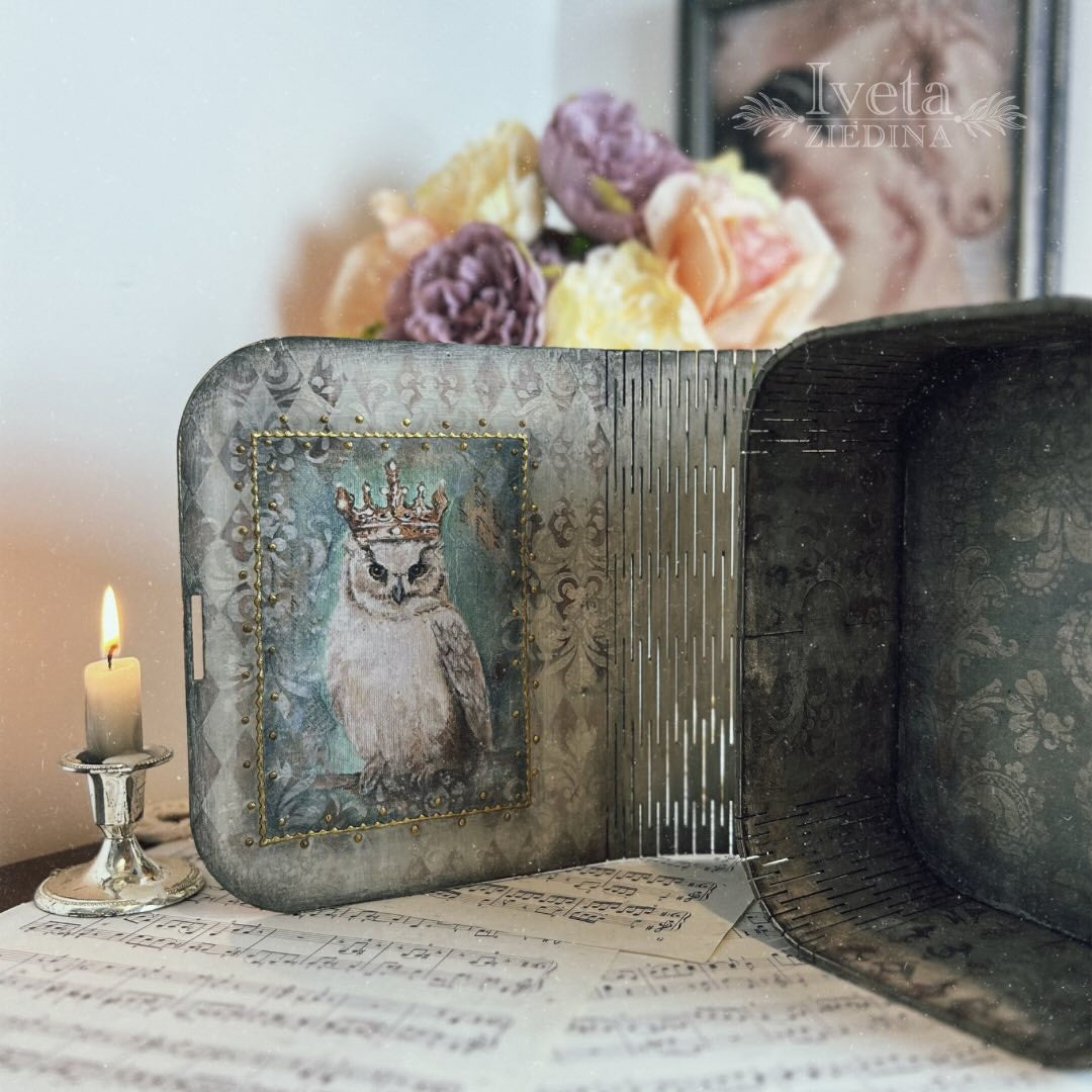Owl Book Box Collection