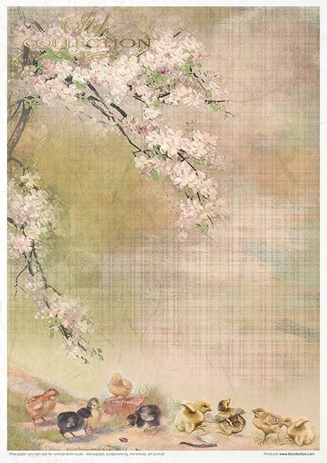 ITD Collection Rice Paper Pack of 11 A4 Spring Impressions