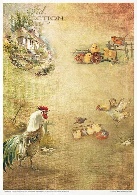 ITD Collection Rice Paper Pack of 11 A4 Spring Impressions