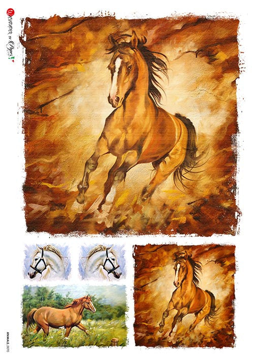 Paper Designs Animals horse 0070