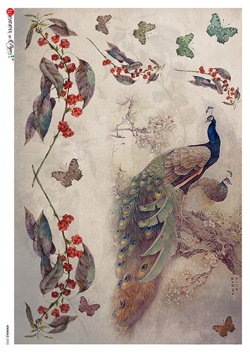 Paper Designs Animals 0098