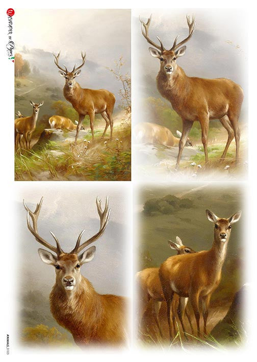 Paper Designs Deer in Forest Four Pack Rice Paper
