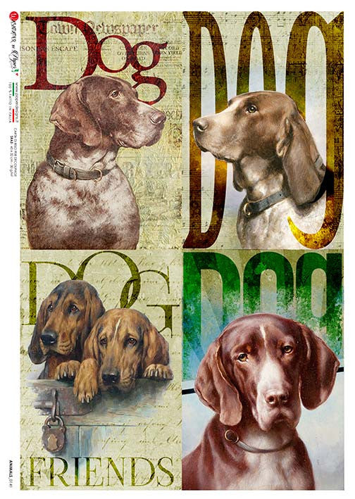 Paper Designs Animals 0141