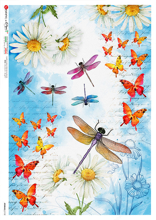 Paper Designs Dragonflies And Butterflies