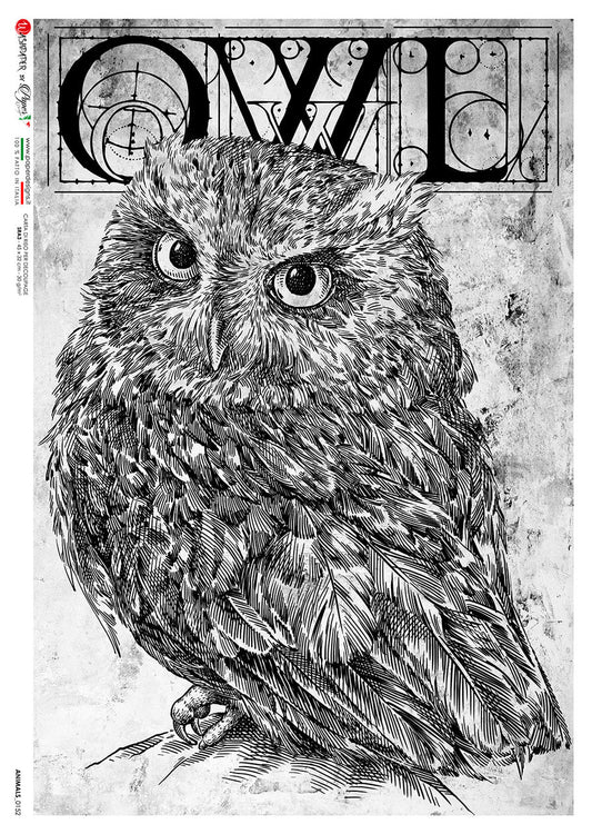 Paper Designs Animals 0152