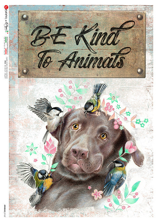 Paper Designs Be Kind to Animals Dog Animals 0162