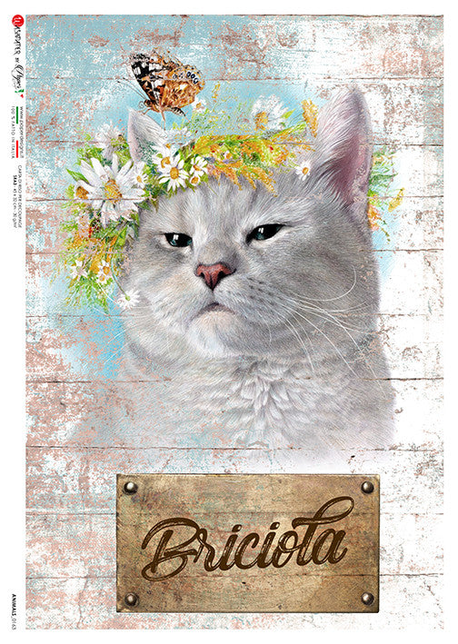 Paper Designs Animals 0163