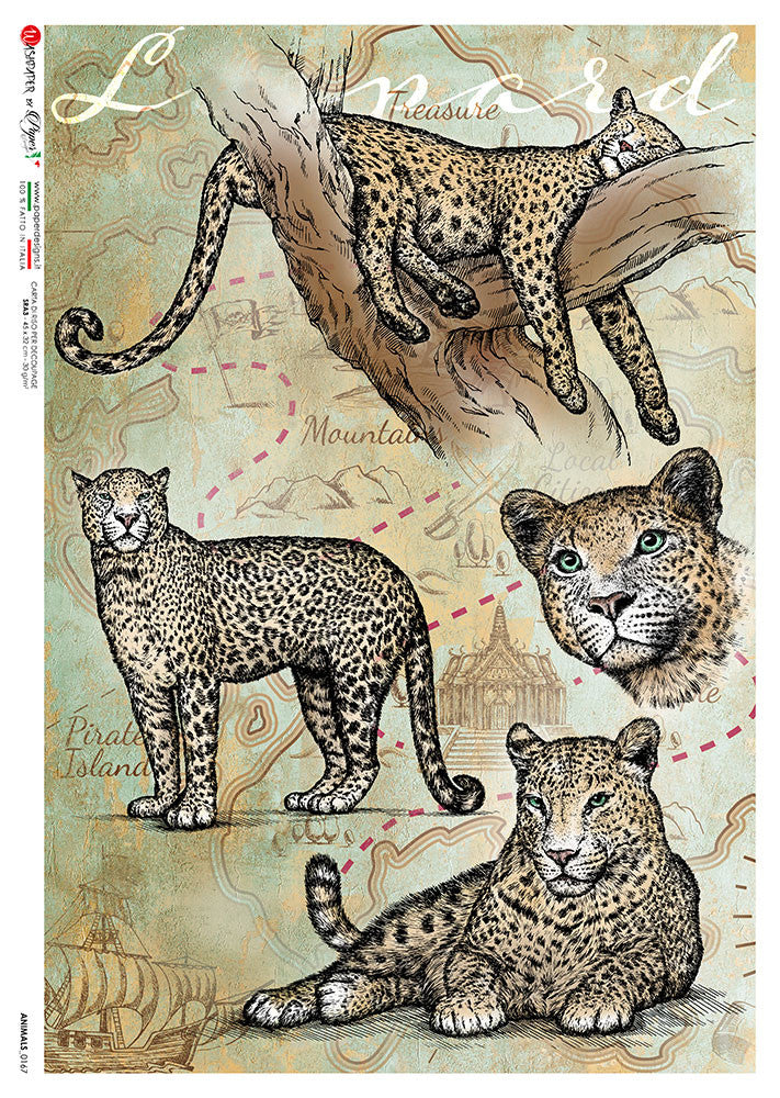 Paper Designs Animals 0167 Wildlife