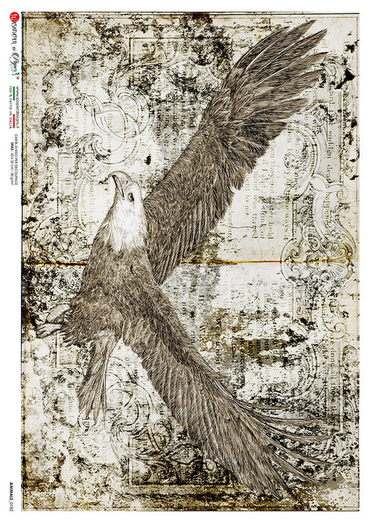 Paper Designs Flying Eagle Animals 0182