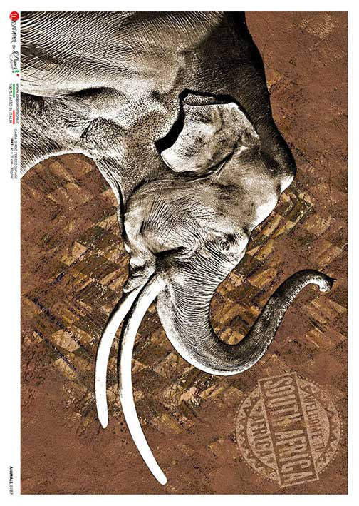 Paper Designs S Africa Elephant
