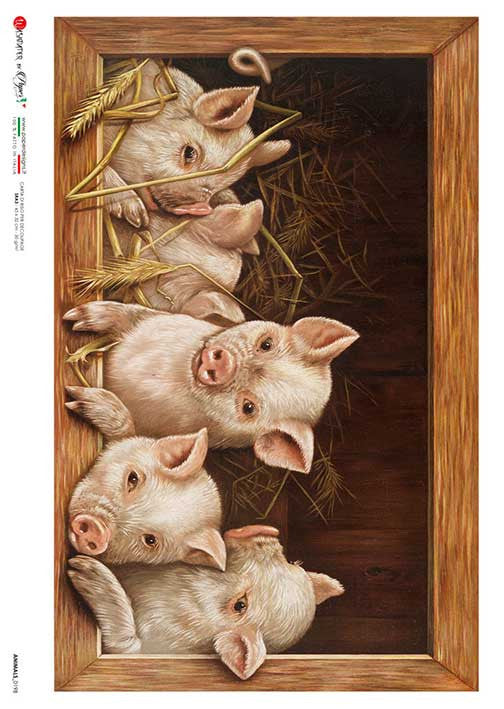 Paper Designs Five Little Pigs