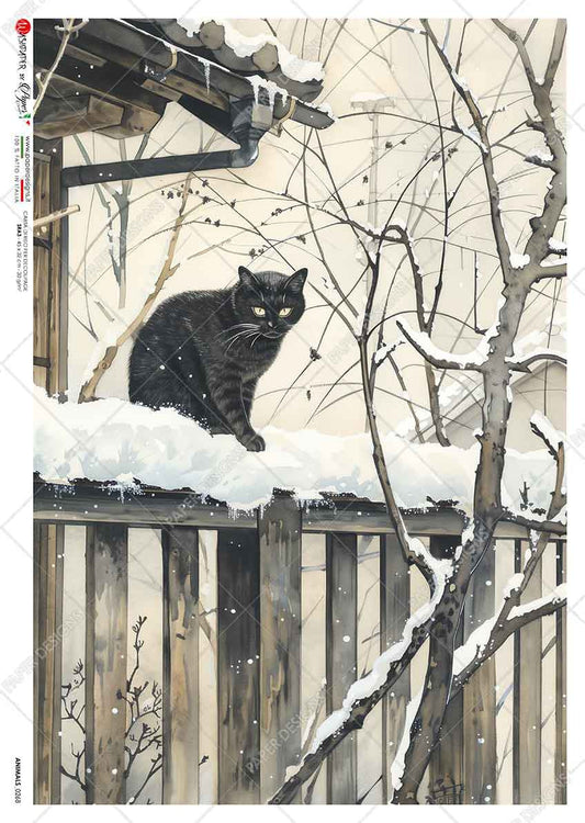 Paper Designs Cat on a Ledge in the Snow II Rice Paper