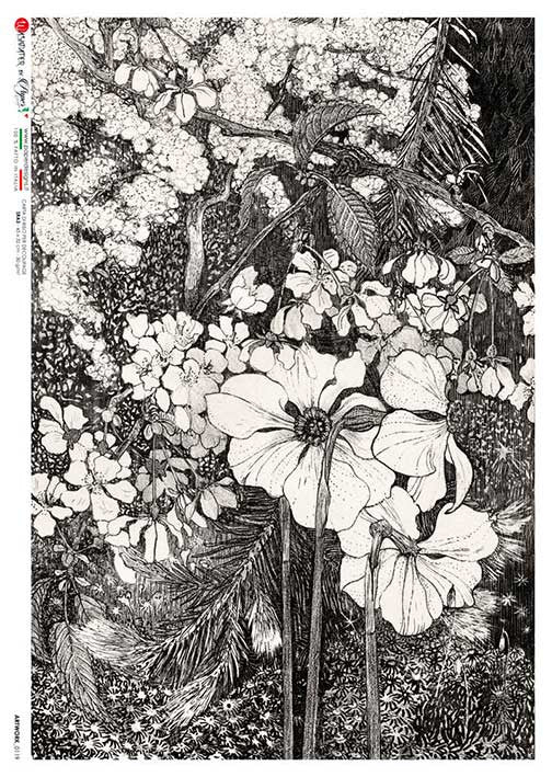 Paper Designs Rice Paper Floral Etching Illustration PD ARTWORK-0119