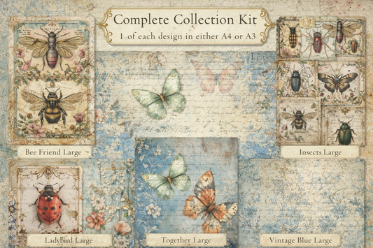 Iveta Ziedina Insects 2026 Complete Collection (6 designs)