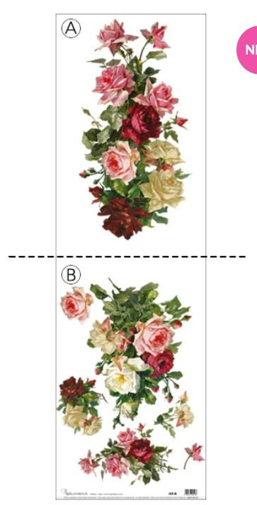 Calambour Catherine Klein Roses