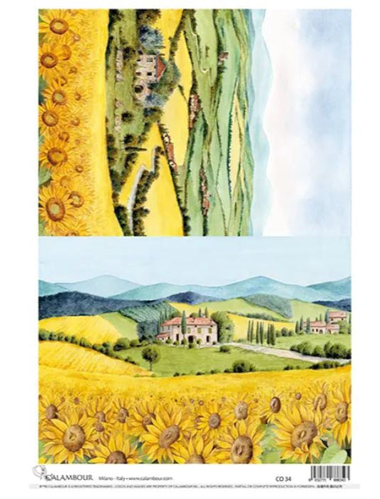 Calambour Villa with Sunflower Fields