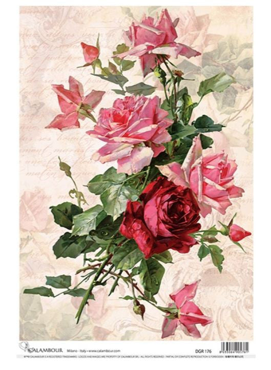 Calambour Catherine Klein Pink Swag Roses DGR 176 A3