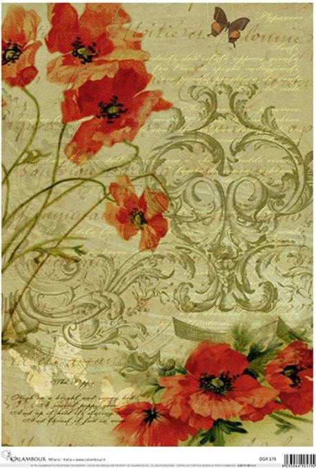 Calambour Ornamental Poppies