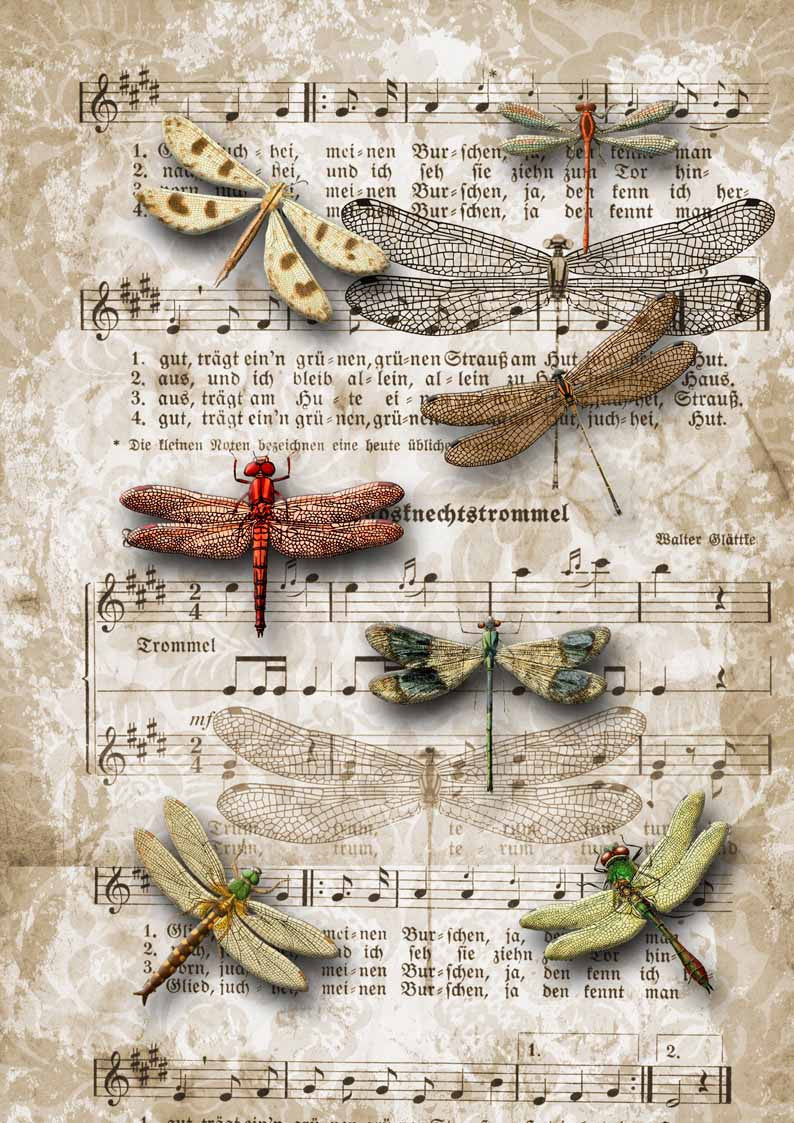 Decoupage Queen