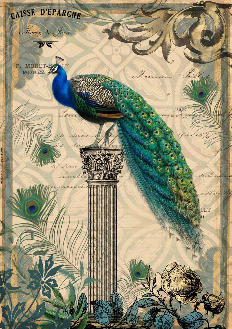 Peacock on a Pedestal (Retiring)