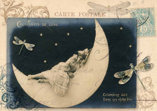 Lady on the Moon