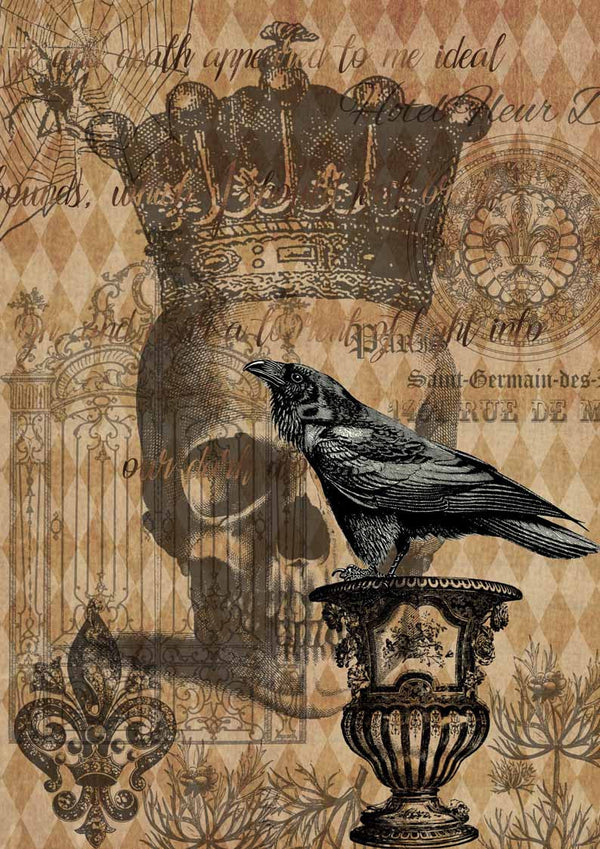 Halloween Raven with Skull and Gate