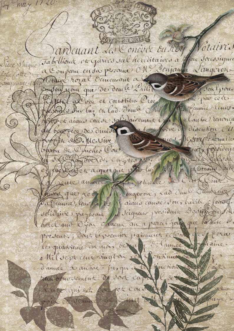 Birds on a Branch