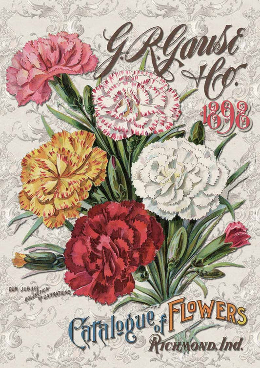 Carnation Catalog (Retiring)