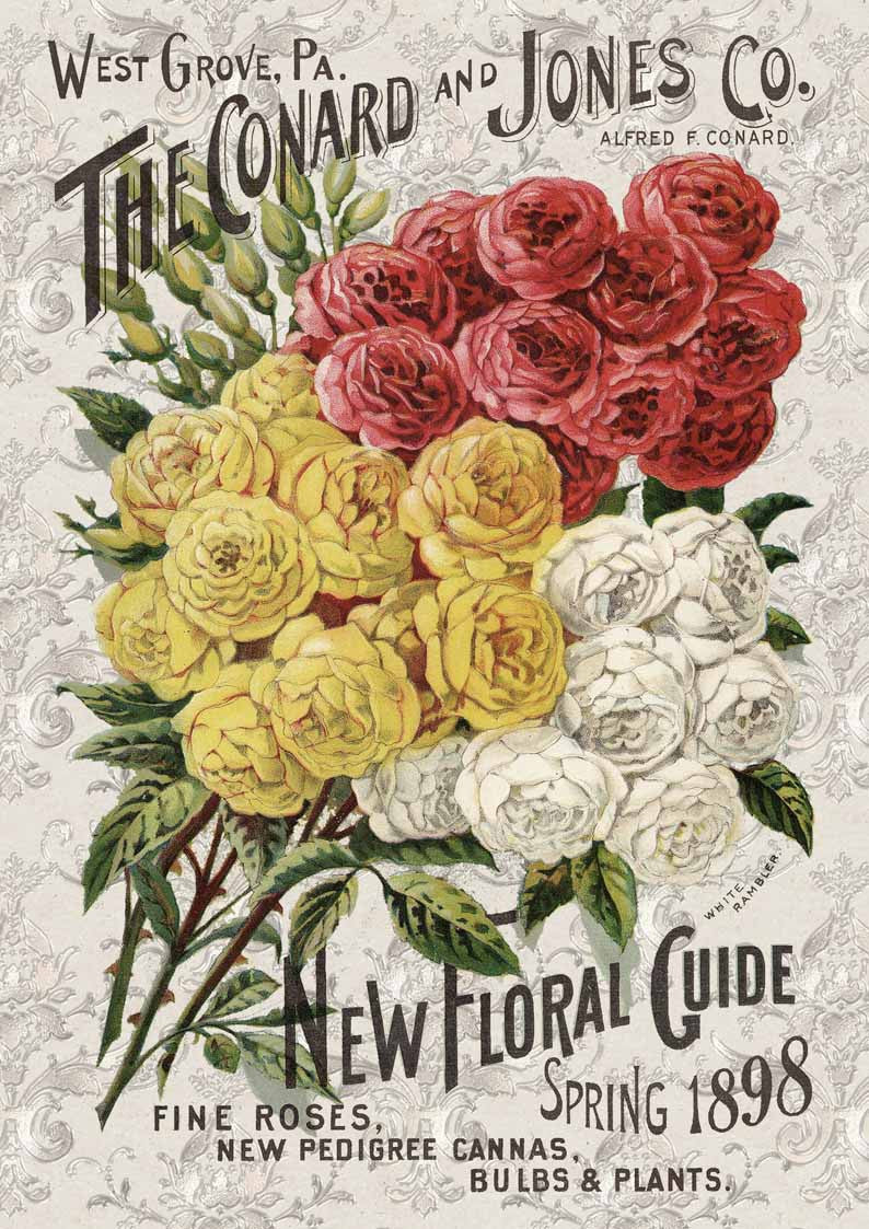 Roses Catalog (Retiring)