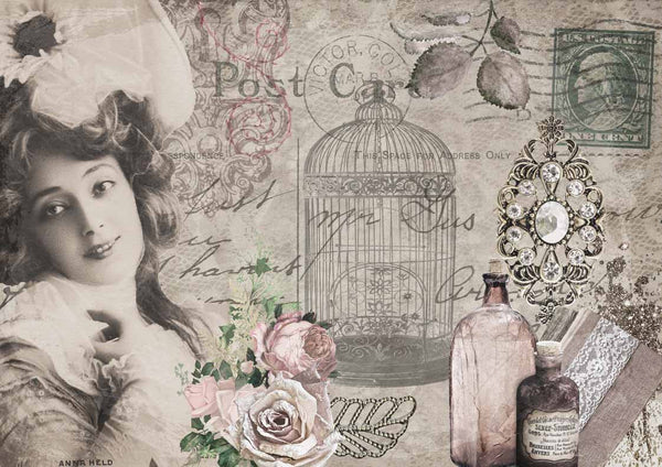 Anna's Postcard (Retiring)