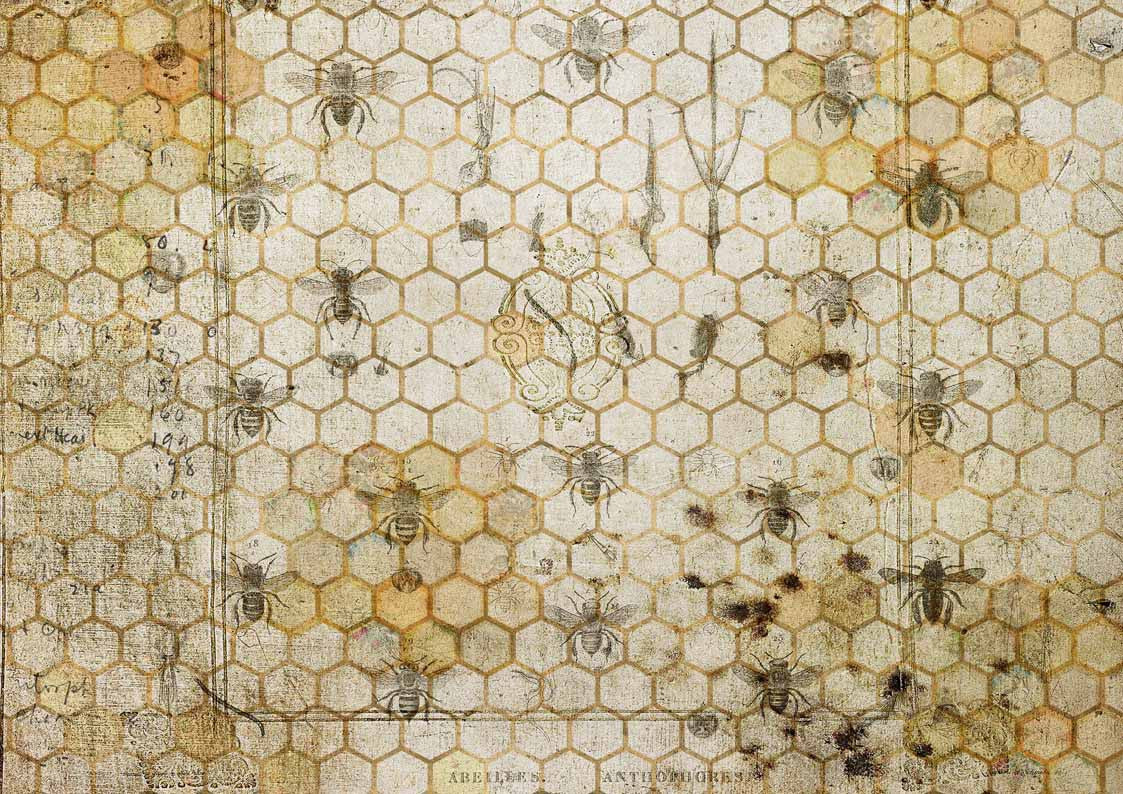 The Honeycomb