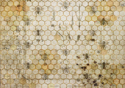The Honeycomb