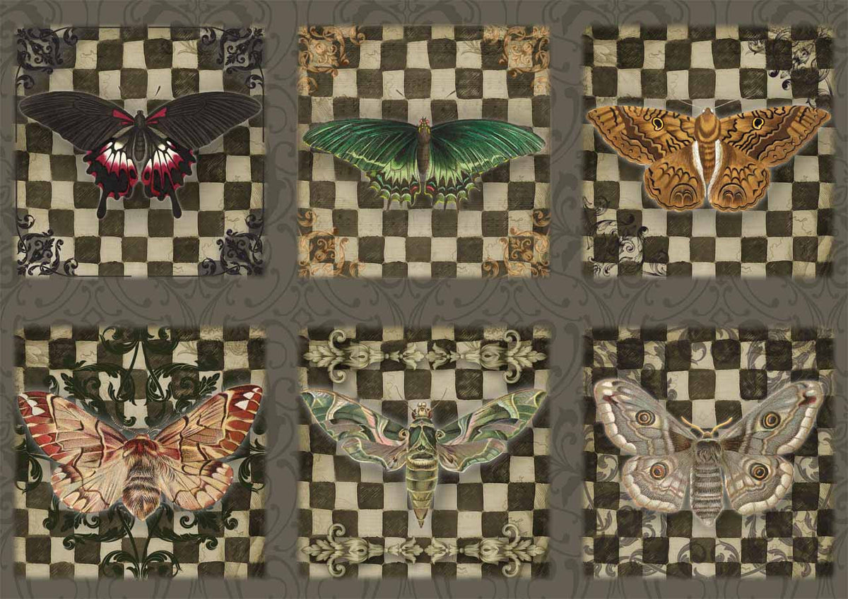 Dainty and the Queen - Checks and Critters