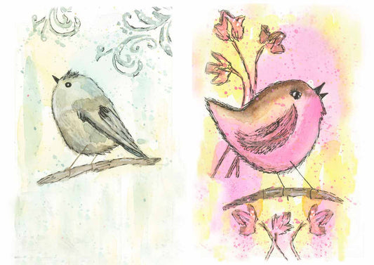 Old to Ooh La La - Bird Melodies