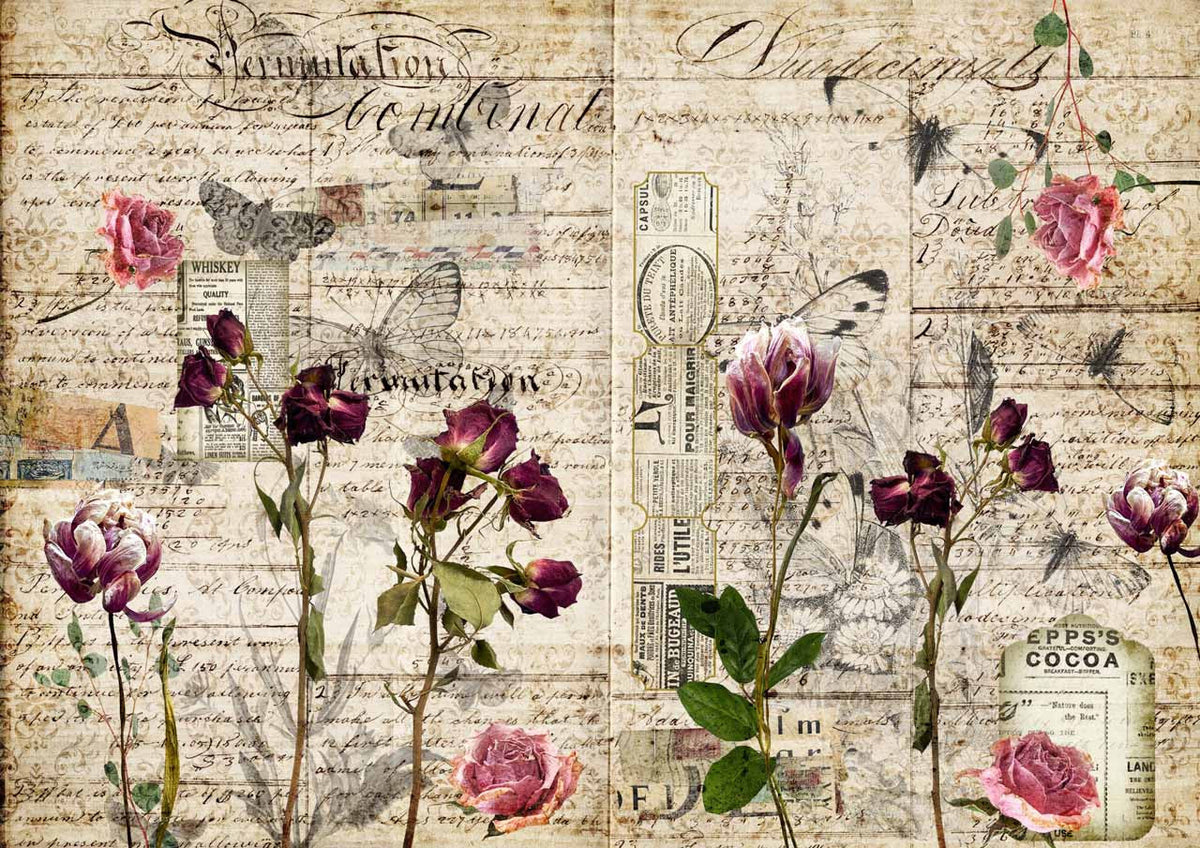 Episode 3 Morning Atelier with Iveta Paper Pack
