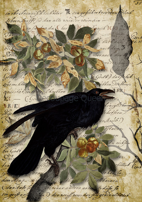 Decoupage Queen Raven Grimoire II
