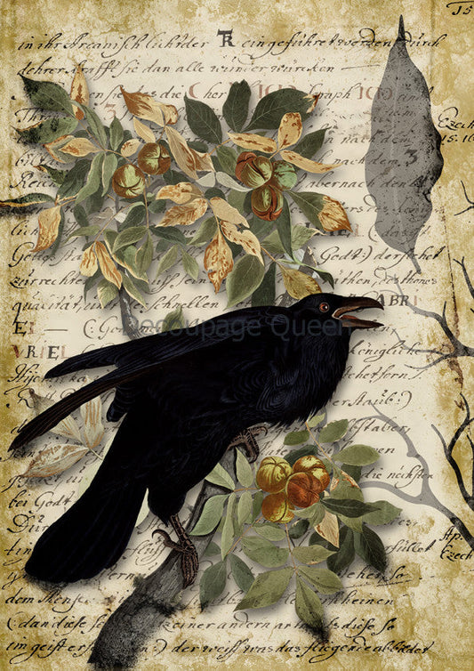 Decoupage Queen Raven Grimoire II