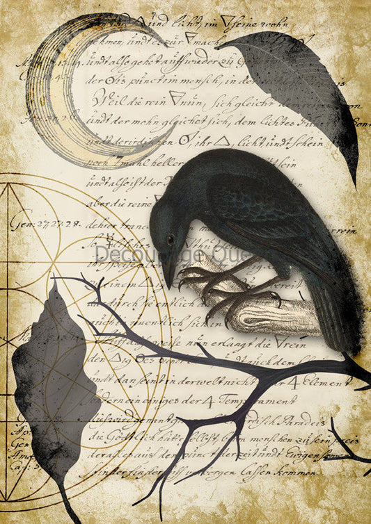 Decoupage Queen Raven Grimoire IV