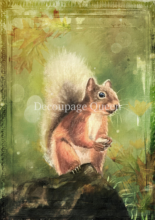 Decoupage Queen  Teresa Rene Art Woodland Squirrel Rice Paper
