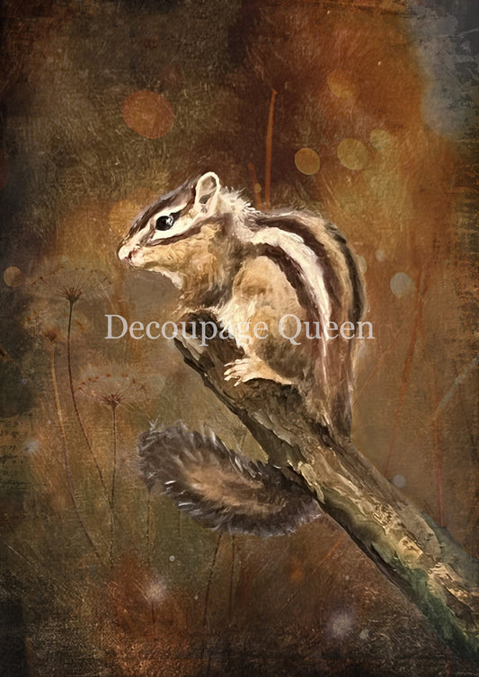 Decoupage Queen  Teresa Rene Art Resting Chipmunk Rice Paper