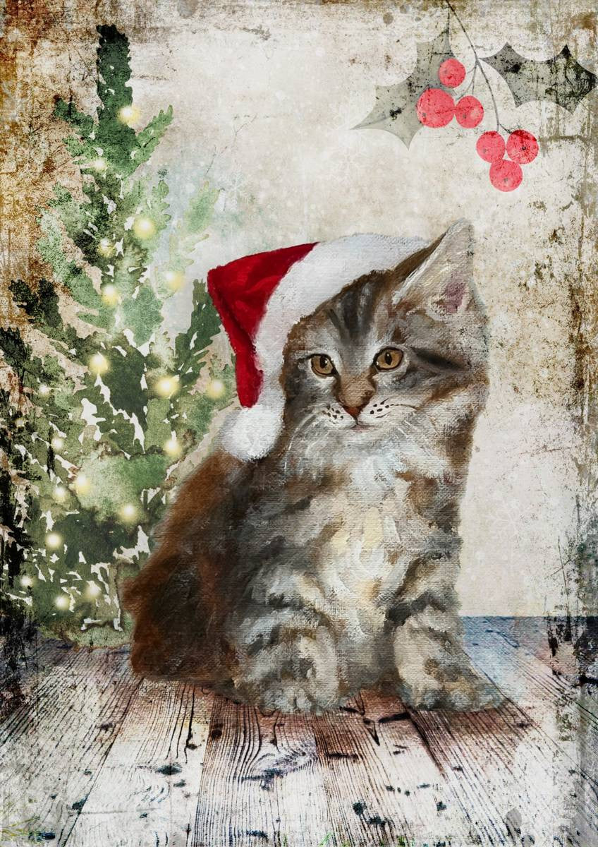 Teresa Rene Art - Fluffy Christmas Cat