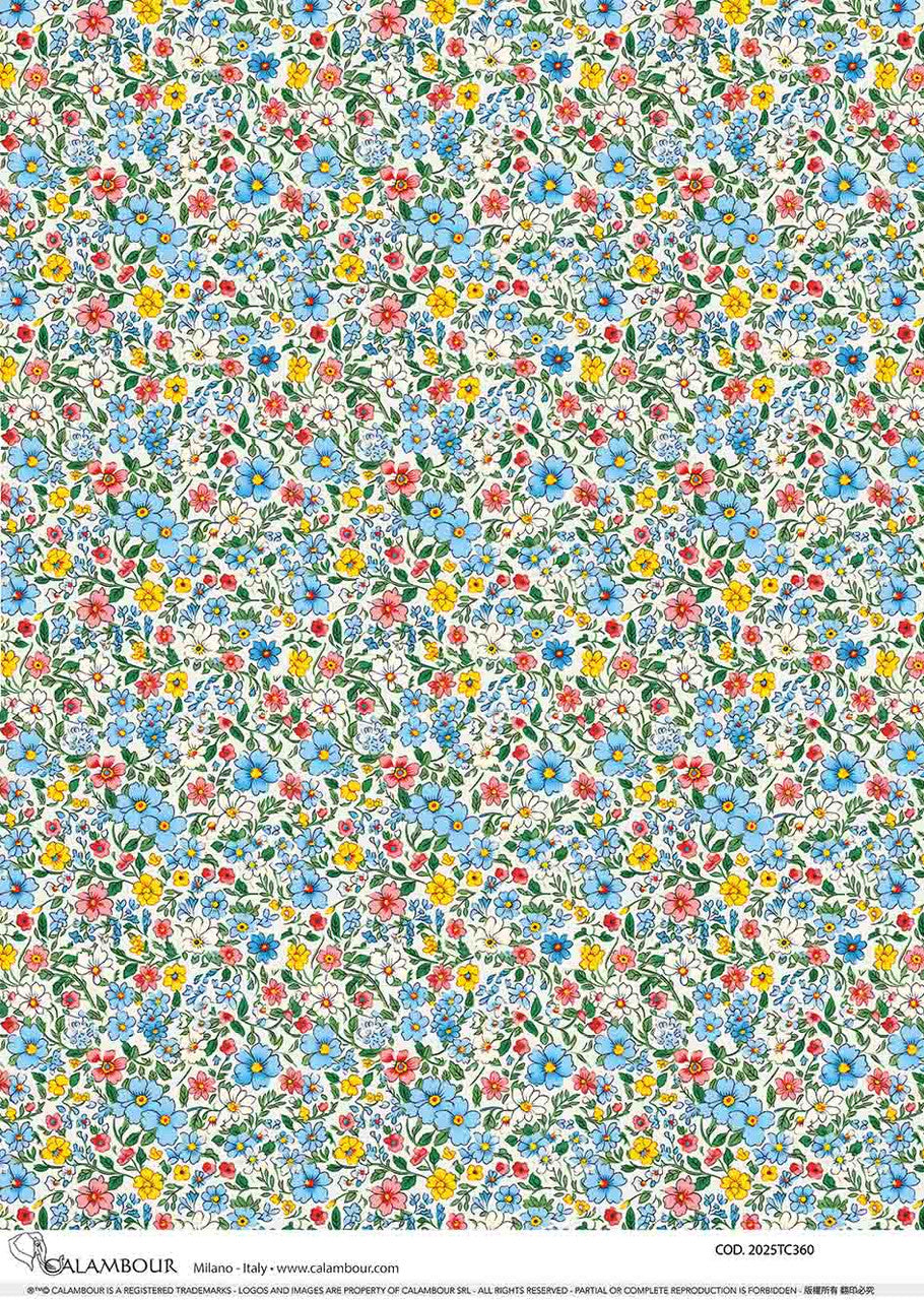 Calambour Spring 2025 A3 Rice Paper Spring Illustrated Patterned Dasies