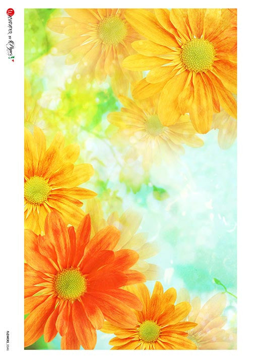 Paper Designs Pot Marigold