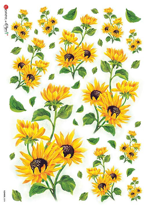 Paper Designs Flowers 0094