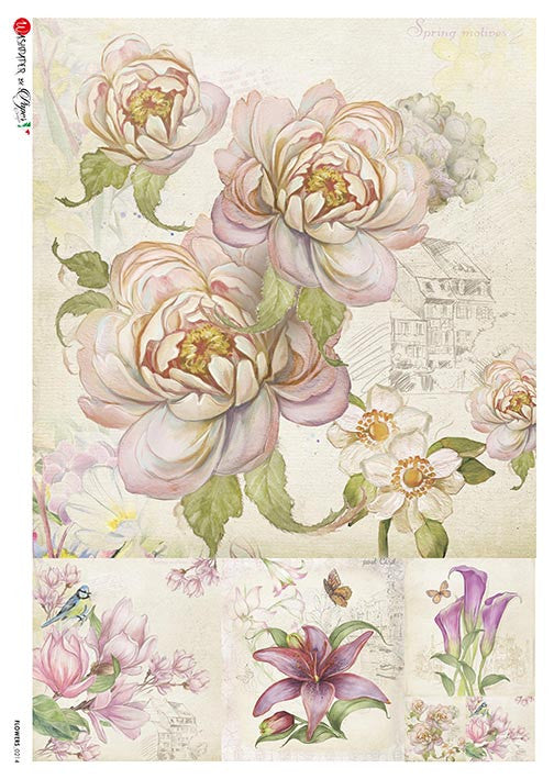 Paper Designs Flowers 0214