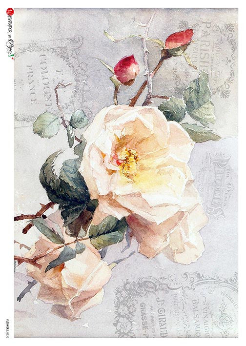 Paper Designs Flowers 0322