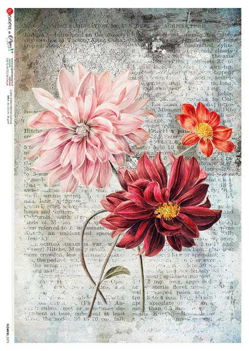 Paper Designs Vintage Dahlias